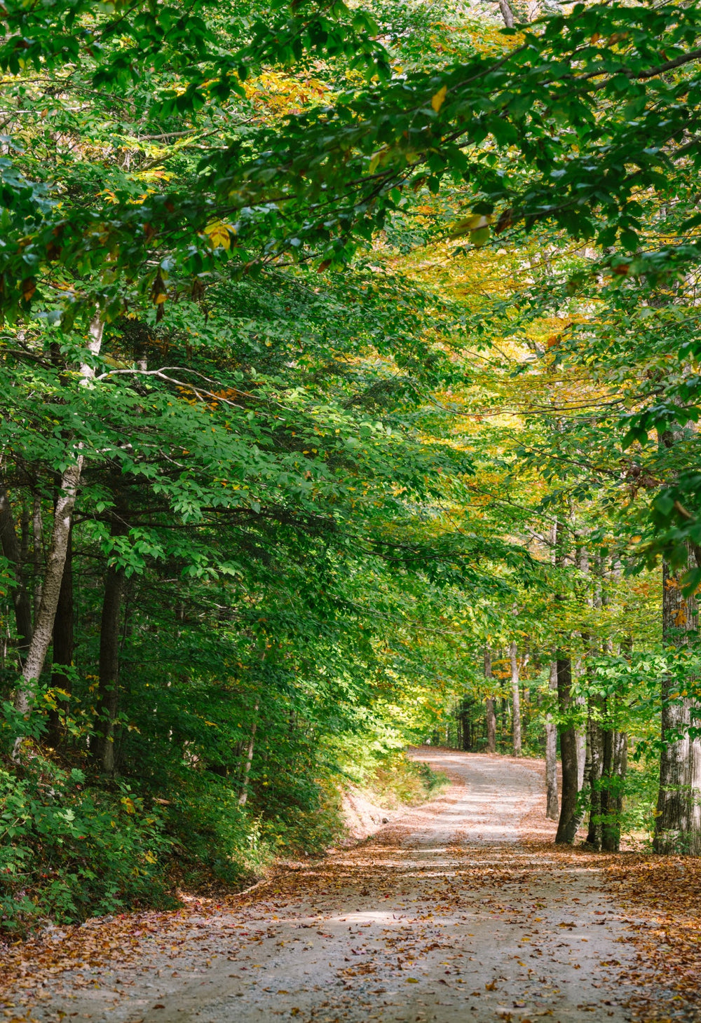 Trailblazers Nature