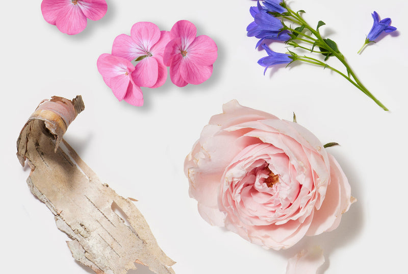 Pink flower, blue flowers, and a piece of driftwood on a white background
