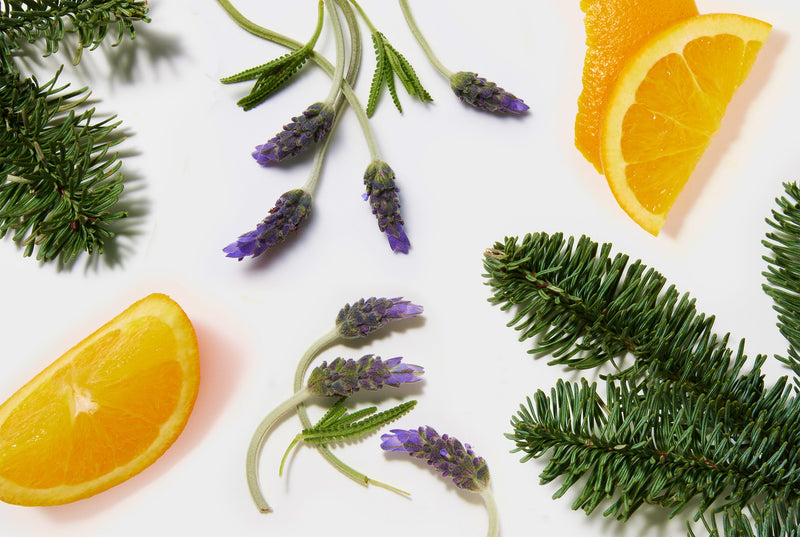 Orange, Lavender and Fir natural elements on white background