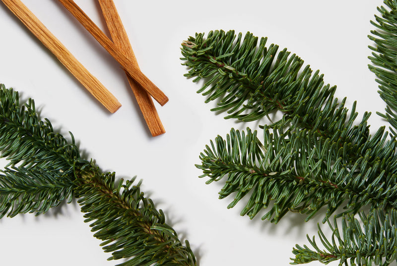 Sage branches and sandalwood sticks on a white background