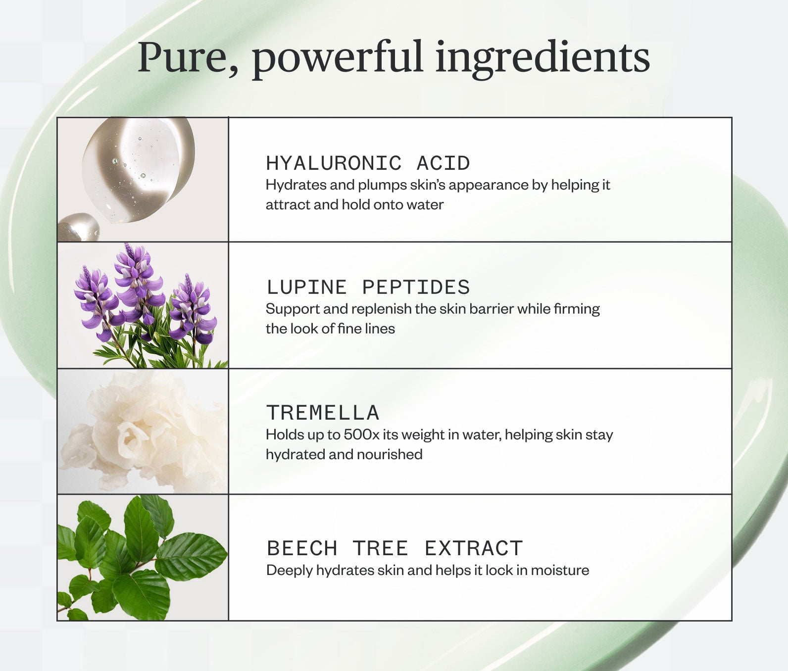 Pure, powerful ingredients listed, including: Hyaluronic Acid- Hydrates and plumps skin's appearance by helping it attract and hold onto water; Lupin Peptides- Support and replenish the skin barrier while firming the look of fine lines; Tremella- Holds up to 500x its weight in eater, helping skin stay hydrated and nourished; Beech Tree Extract- Deeply hydrates skin and helps lock in moisture