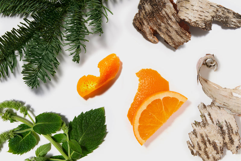 Orange slices, Birch bark, and Spearmint leaves on a white background