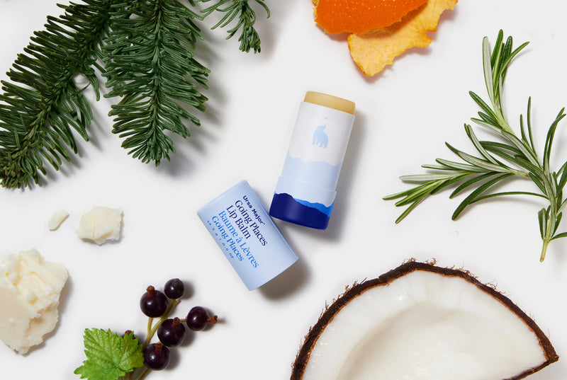 Paper tube of Lip balm with natural ingredients on a white background