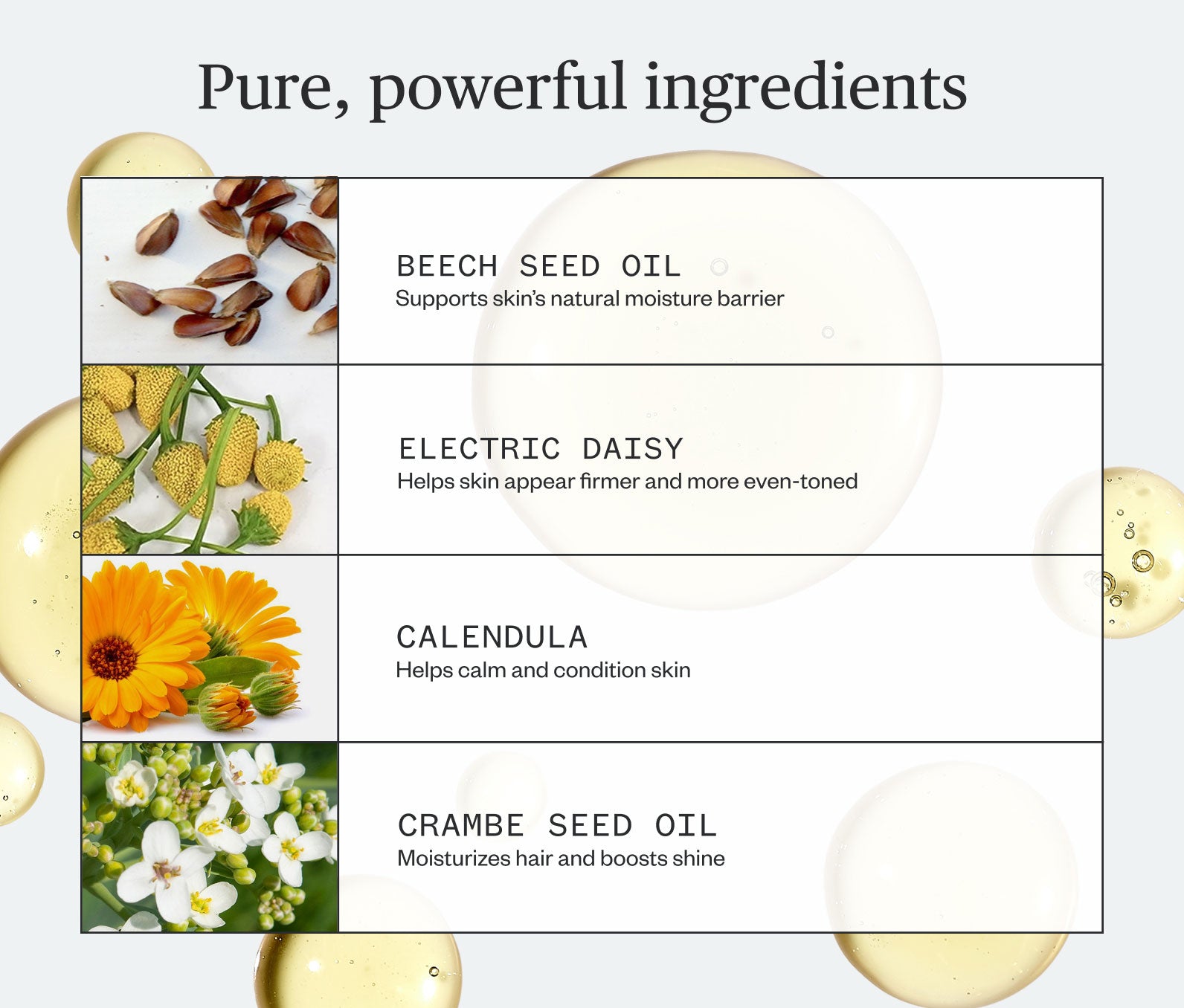 Pure, powerful ingredients listed, including: Beech Seed Oil- Supports skin's natural moisture barrier; Electric Daisy- Helps skin appear firmer and more even-toned; Calendula- Helps calm and condition skin; Crambe Seed Oil- Moisturizes hair and boosts shine