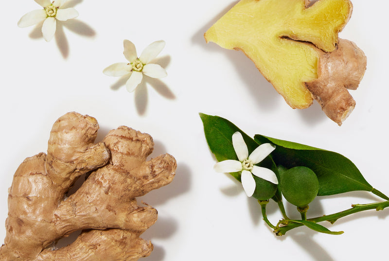 Ginger root, flowers, and leaves on a white background