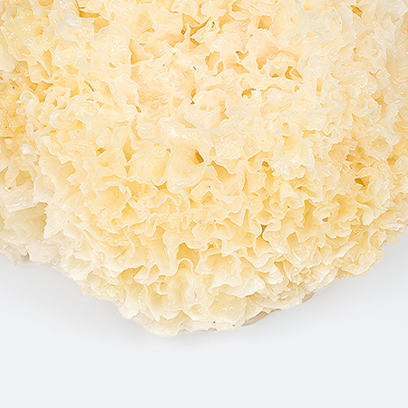 Close-up of a tremella mushroom showcasing the fluffy yellow texture on a white backgorund.