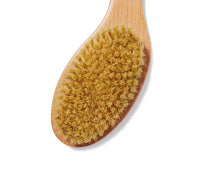 Close-up of wooden Dry Brush's natural, coarse bristles on a white background