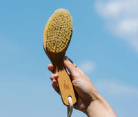 Hand holding wooden Dry Brush with bristles against a blue sky