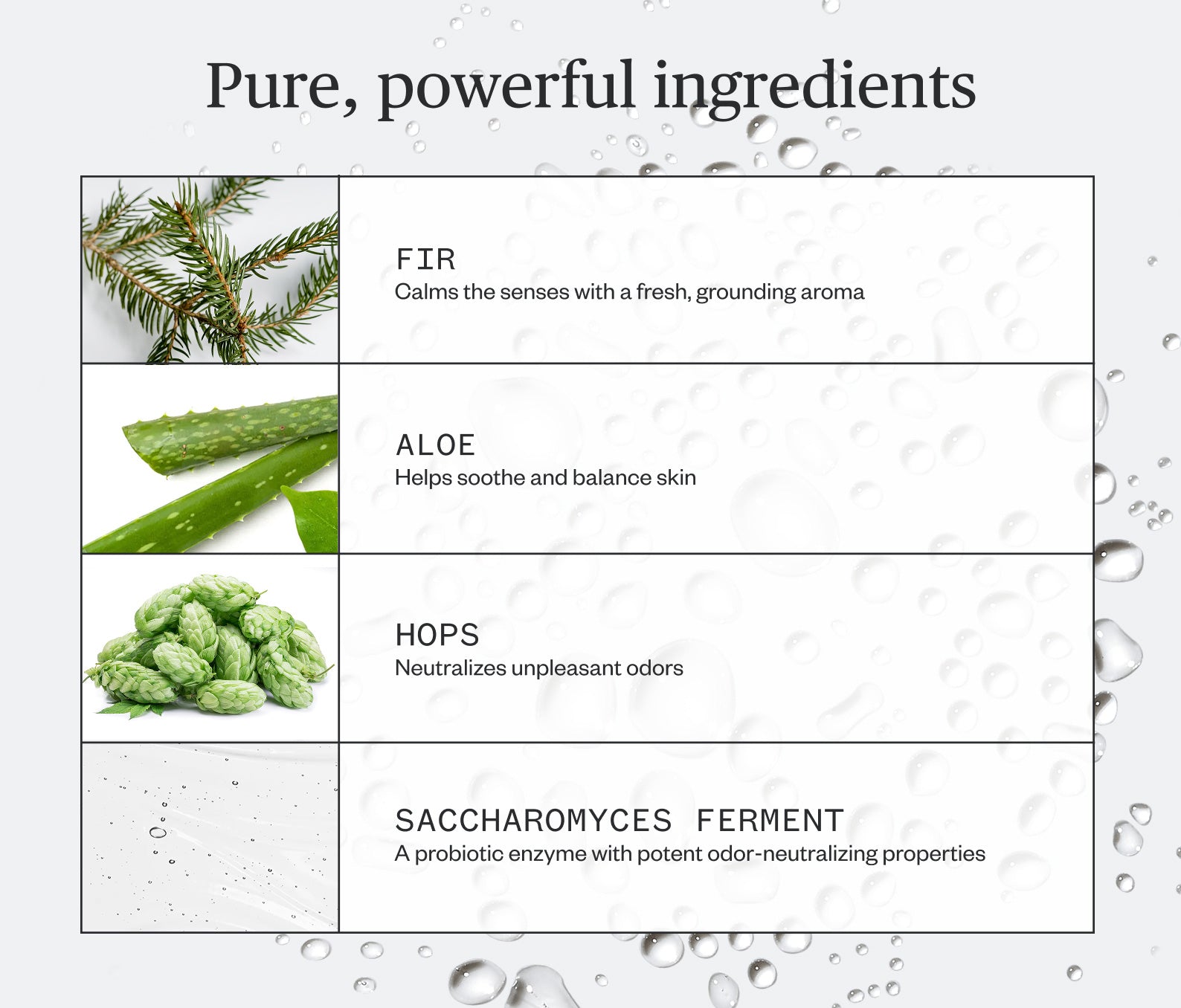 Forest Fix Spray Deodorant - view 5