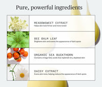 Pure, powerful ingredients listed, including: Meadowsweet Extract- Helps skin look firmer and more toned; Bee Balm Leaf- Brightens skin and evens the appearance of dark spots; Organic Sea Buckthorn- Contains omega fatty acids that replenish dry, depleted skin; Daisy Extract- Evens skin tone, helping reduce the appearance of dark spots