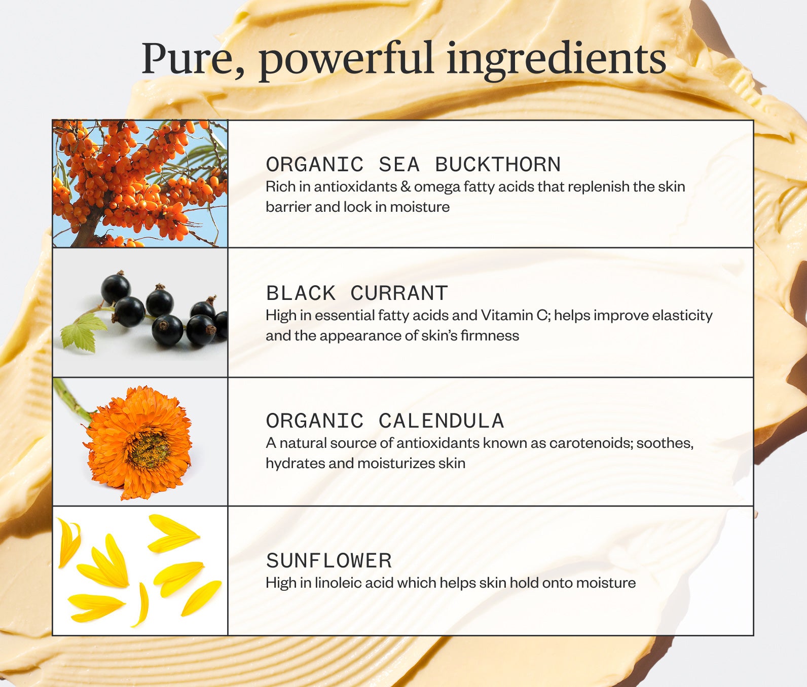 Golden Hour Recovery Cream - view 7