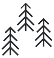 powerful forest-found actives