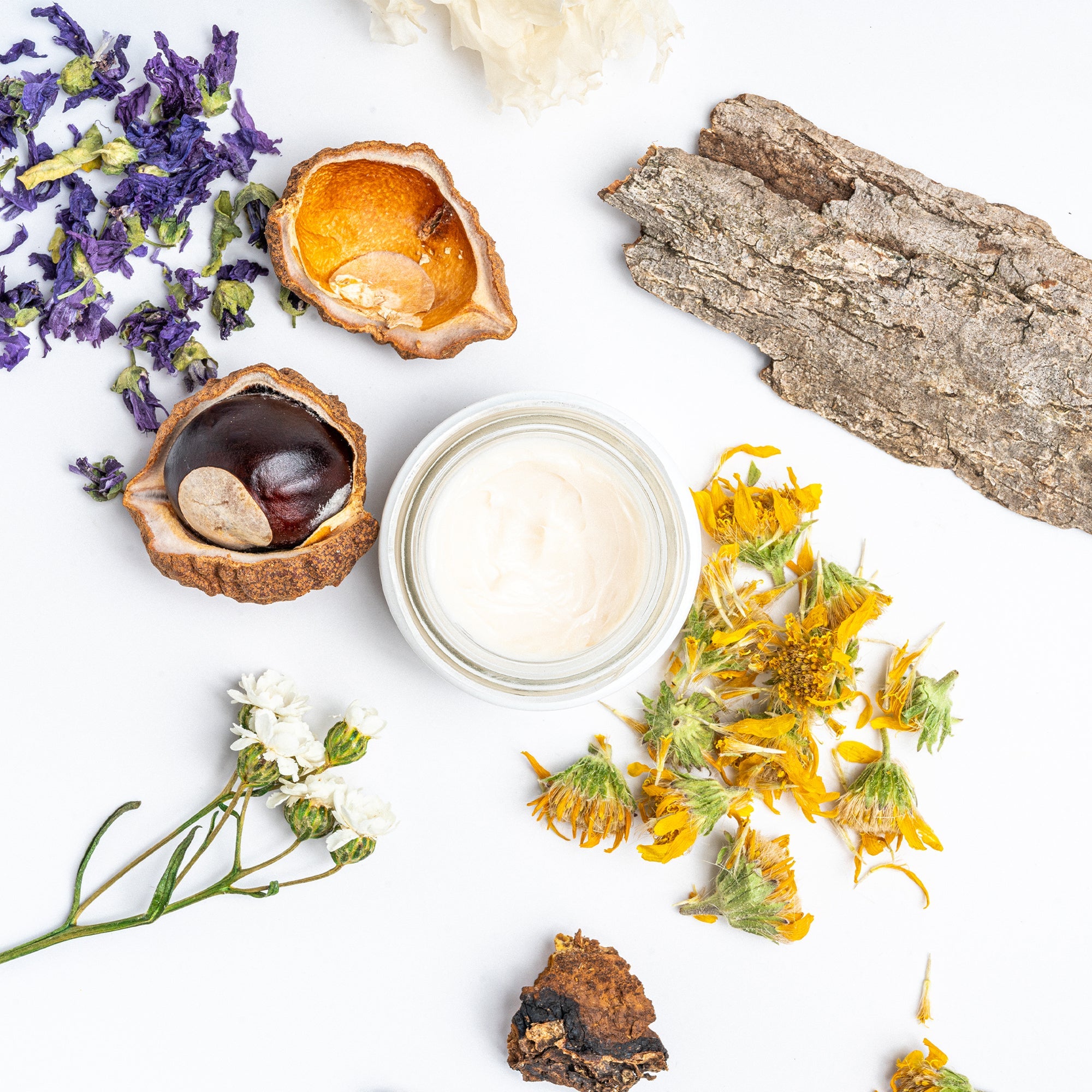 Arial view of an open jar of Alpine Rich Cream surrounded by ingredients which include flowers, bark, and tremella mushroom.