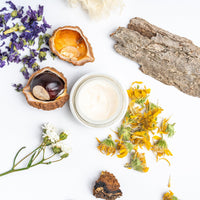 Arial view of an open jar of Alpine Rich Cream surrounded by ingredients which include flowers, bark, and tremella mushroom.