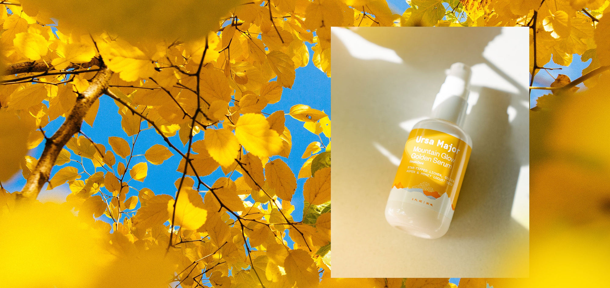 Ease into fall 
