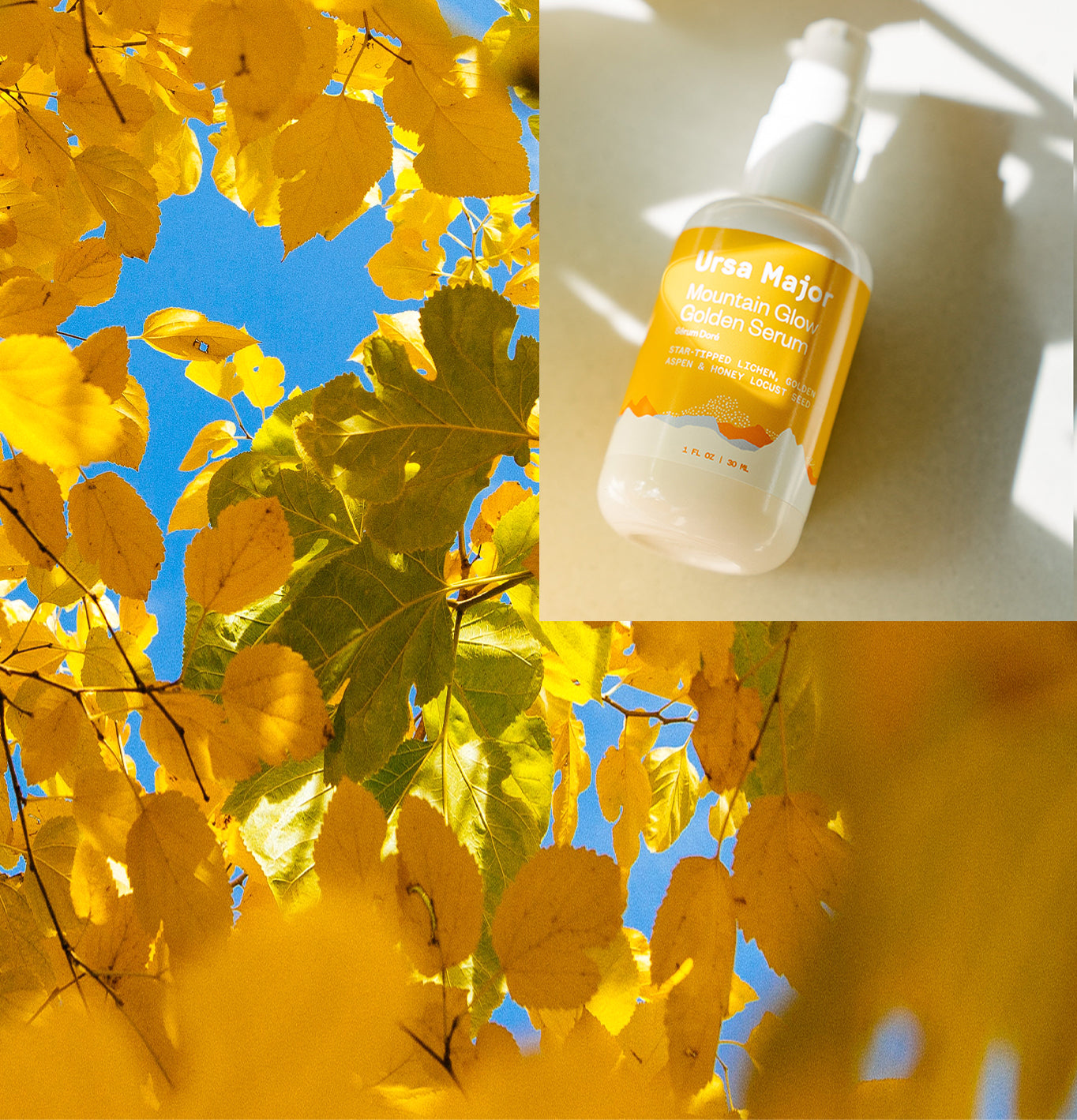 Ease into fall 