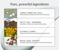 List of skincare ingredients with corresponding images and descriptions on a light gray background, including: Summer Snowflake Bulb- Boosts hydration and helps smooth the look of skin texture; Split Gill Mushroom- Helps lock in moisture so skin stays hydrated longer; Elfdock Flower- Supports skin elasticity, so skin appears bouncy and toned; Beech Seed Extract- Promotes visibly firmer, smoother, and more elastic-looking skin